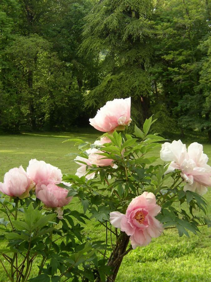Le Domaine De Pomone Hotel Woinville Luaran gambar